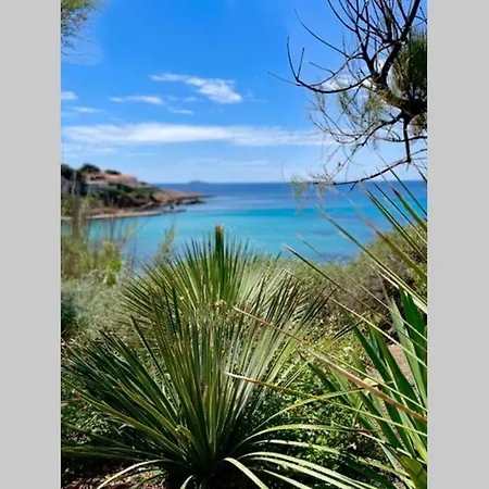 Апартаменты Portissol T1 Rdj Clim Parking Privatif 300m Санари-сюр-Мер